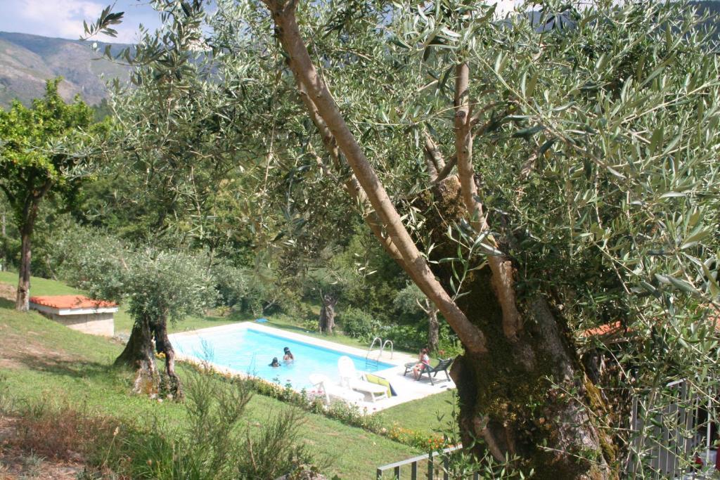 Casas De Alvite Hotel Cerva Exterior photo